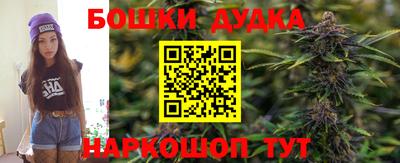 a pvp Шебекино